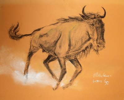 Bild Galoppierendes Gnu von Uli Aschenborn